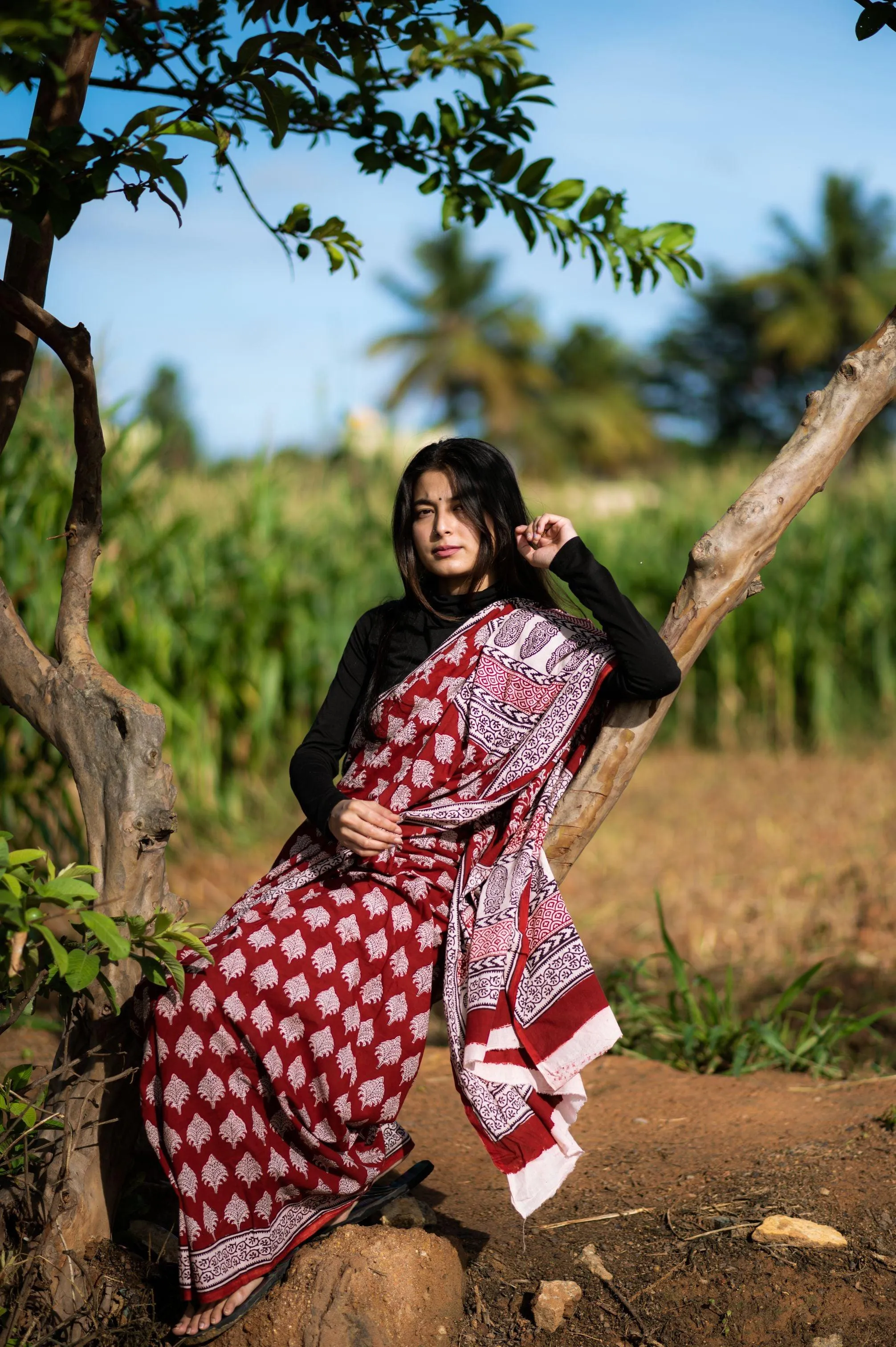 Kaisori Nandana Bagh handblockprinted cotton saree