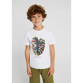 Nukutavake Boys T-Shirt 2 Piece Set _Green 6011-54